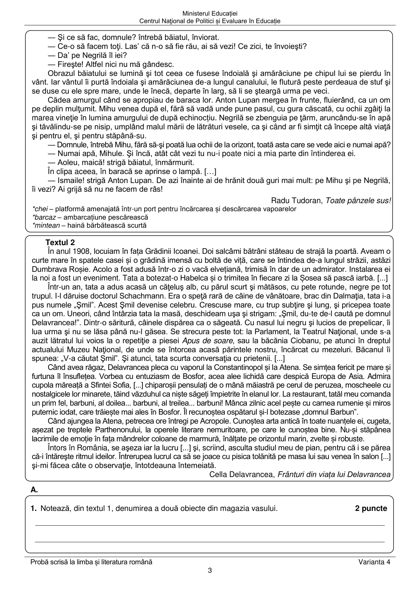 Pagina 3 din subiectul examen oficial (sesiunea iunie), limba și literatura română, 14 iunie 2022