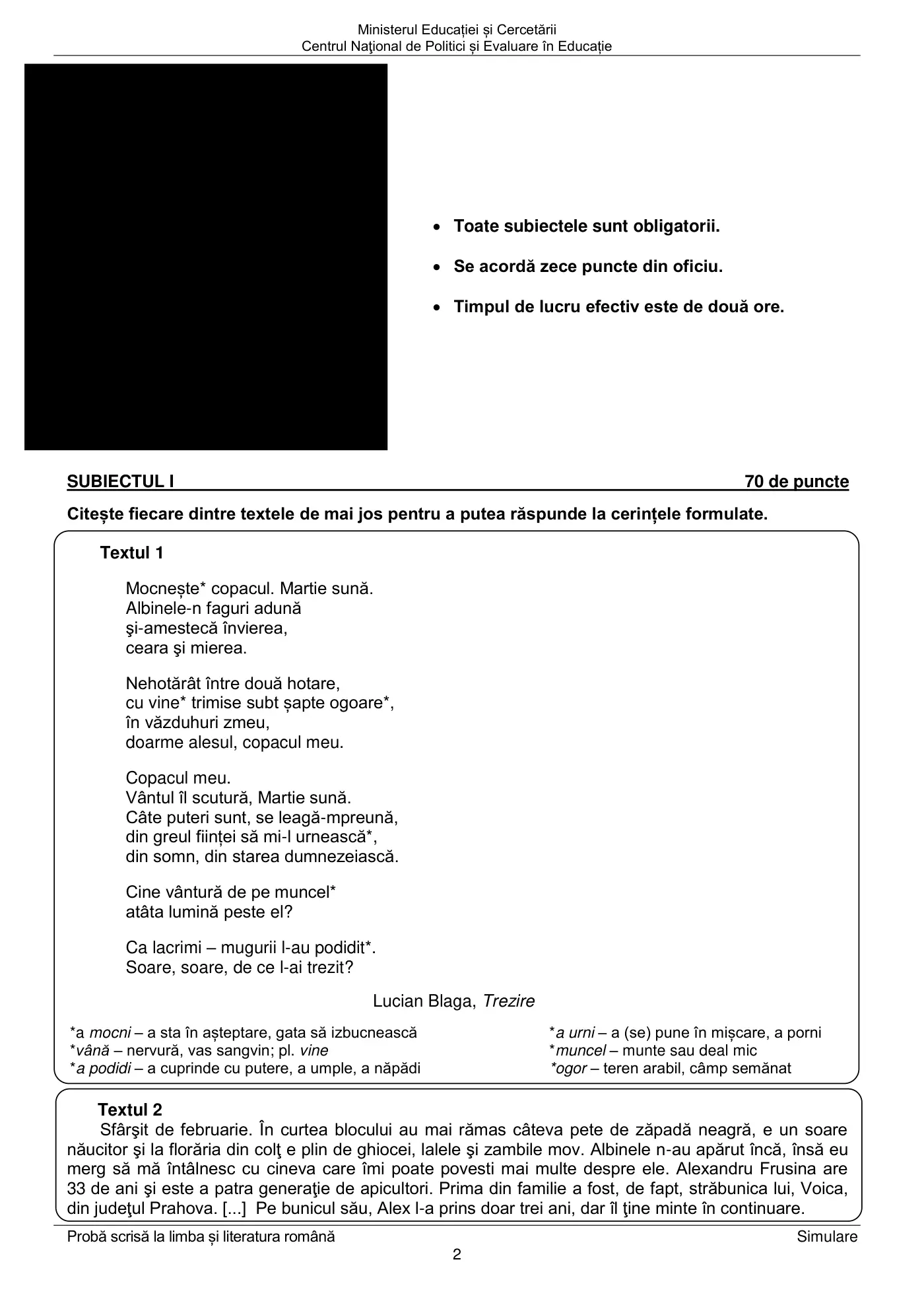 Pagina 2 din subiectul simulare națională, limba și literatura română, 17 martie 2025